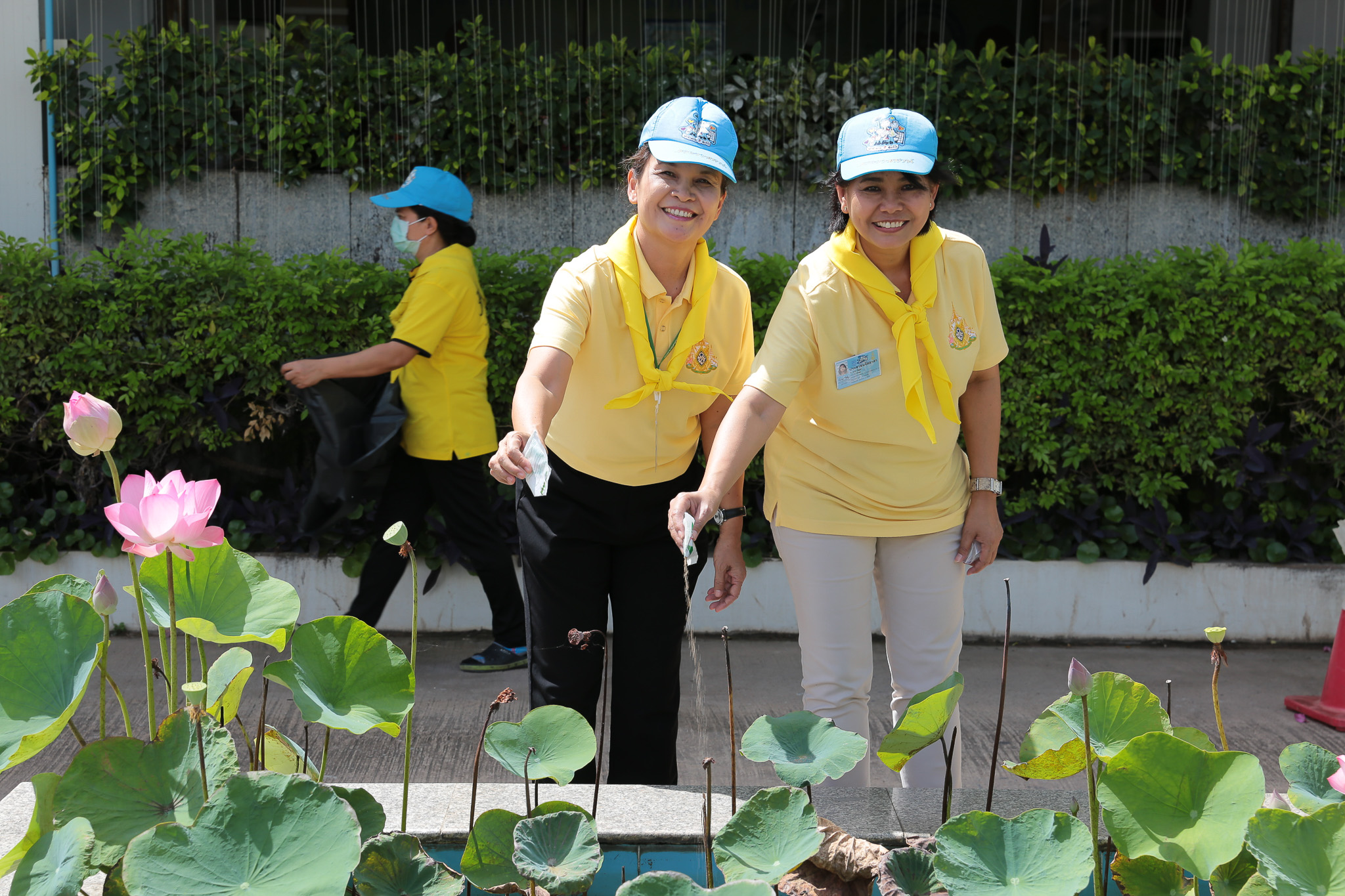 โรงพยาบาลมหาสารคาม รวมพลังจิตอาสาพัฒนาสิ่งแวดล้อมกำจัดแหล่งเพาะพันธุ์ยุงลาย